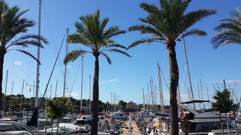 Quantum a Mallorca 14