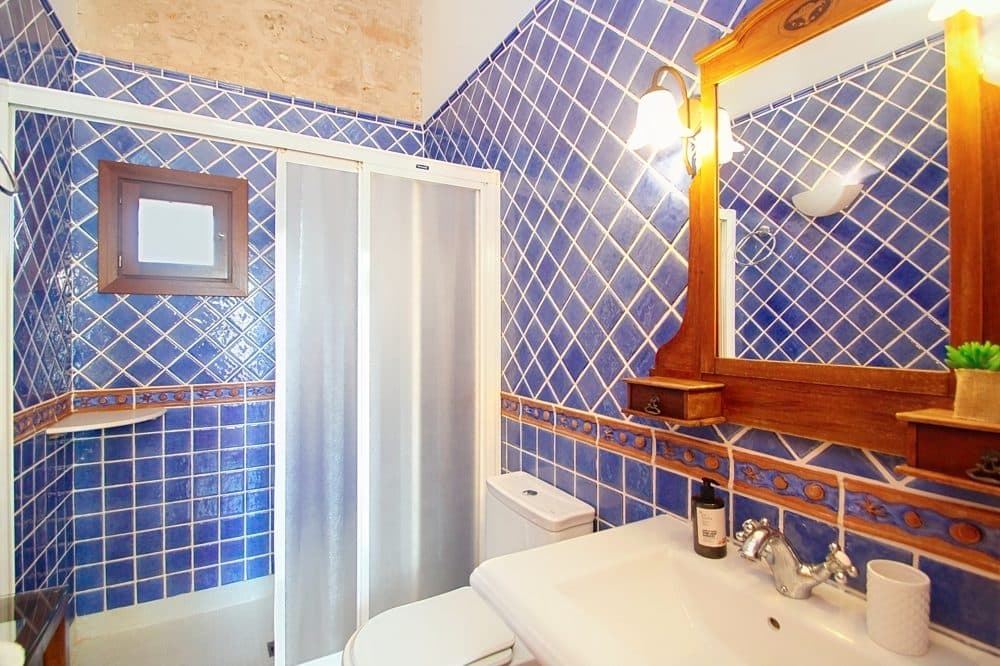 SANTANYÍ: TOP INVESTMENT FINCA WITH ETV LICENSE 27
