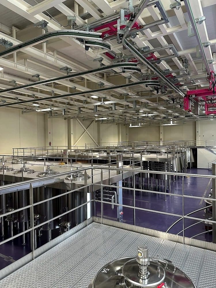 BUSINESS BODEGA: 7,290 M² WINERY WITH 40 HA OF VINEYARDS 10
