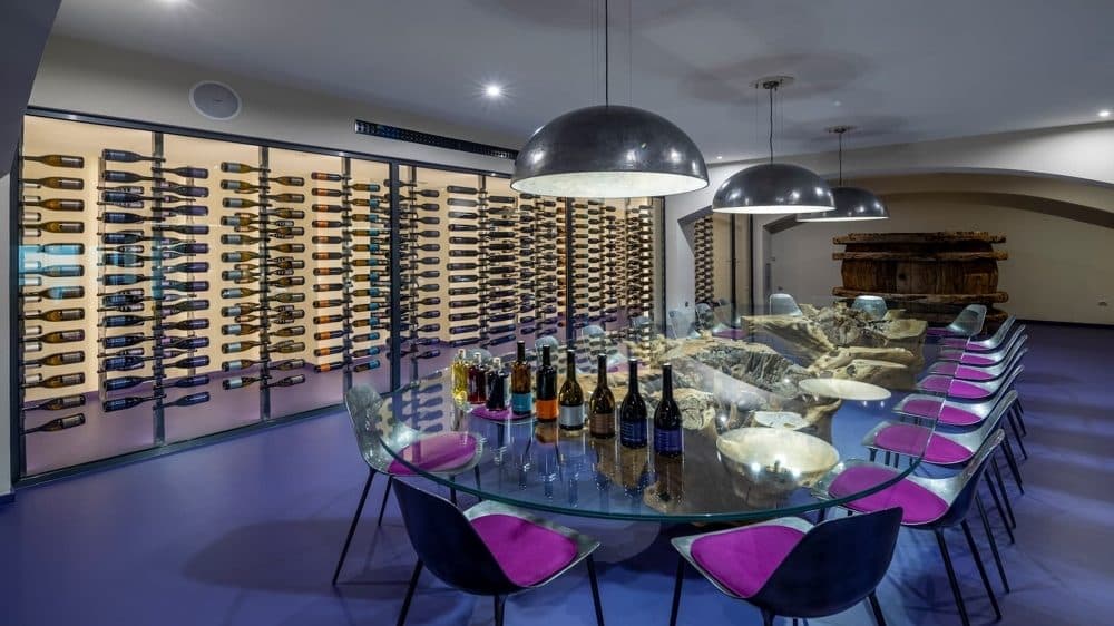 BUSINESS BODEGA: 7,290 M² WINERY WITH 40 HA OF VINEYARDS 4