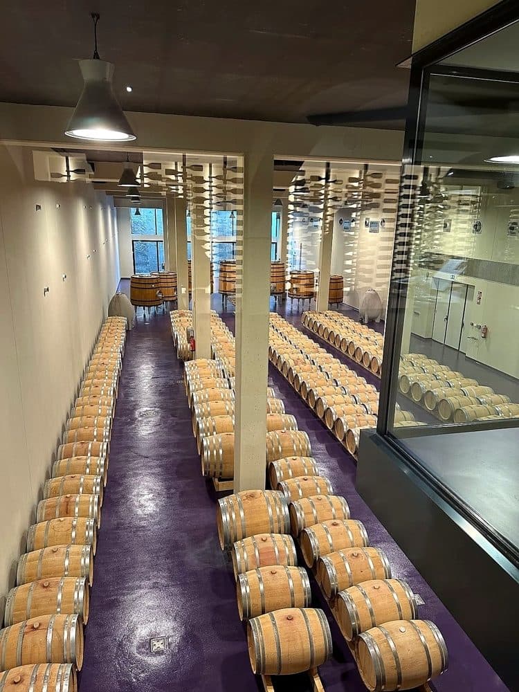 BUSINESS BODEGA: 7,290 M² WINERY WITH 40 HA OF VINEYARDS 6