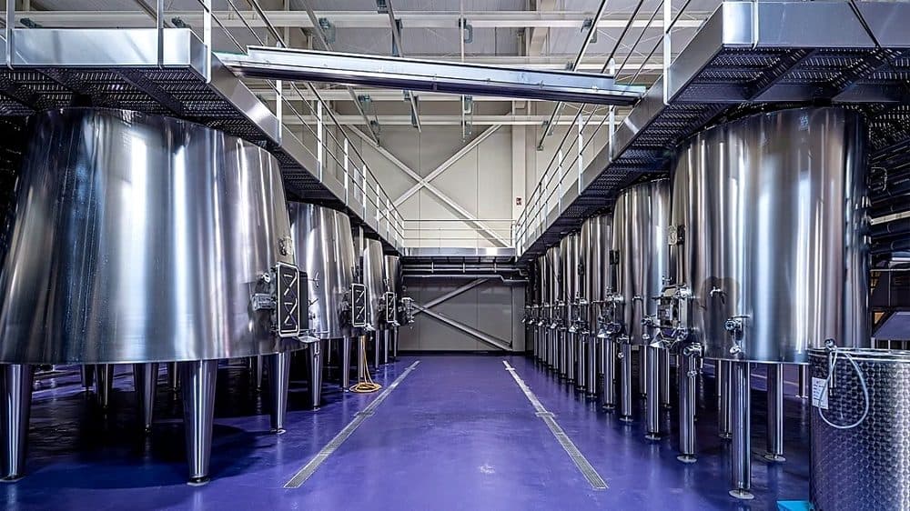 BUSINESS BODEGA: 7,290 M² WINERY WITH 40 HA OF VINEYARDS 7