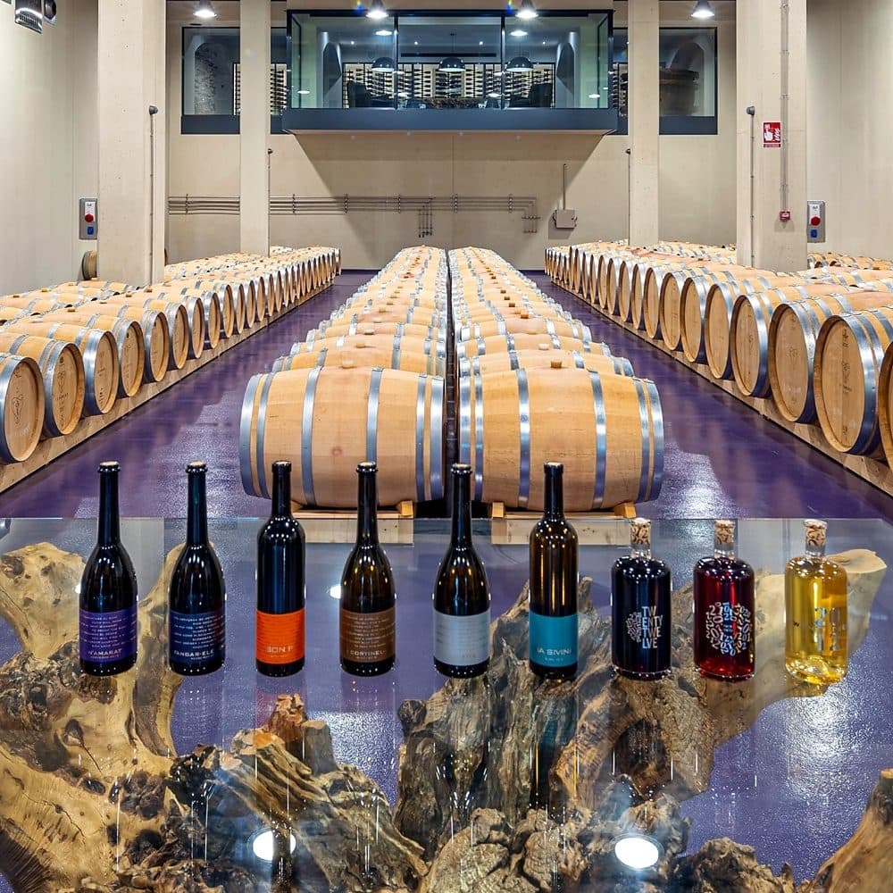 BUSINESS BODEGA: 7,290 M² WINERY WITH 40 HA OF VINEYARDS 2