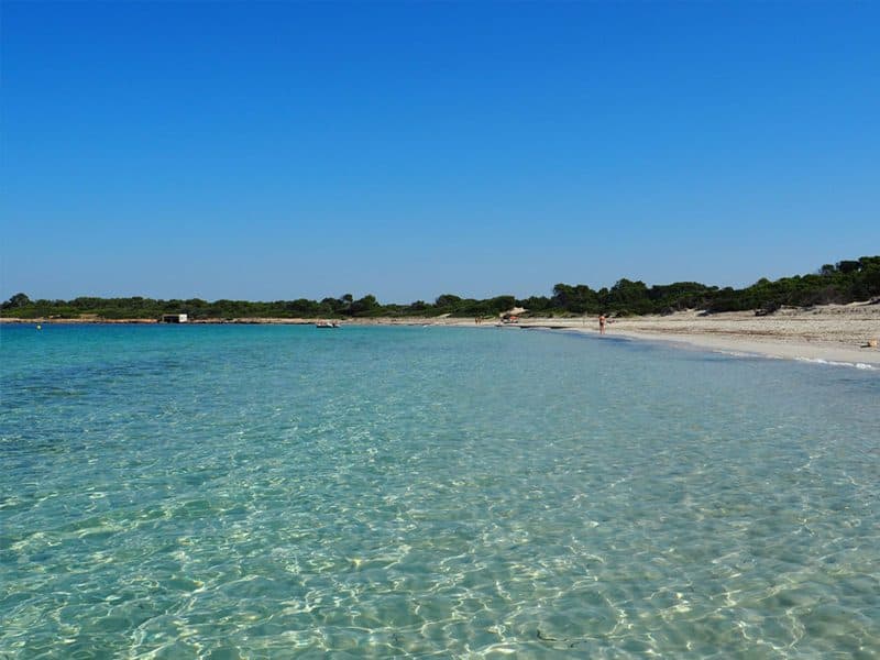 SES SALINES: NEW-BUILD FLATS IN AN IDYLLIC LOCATION 7