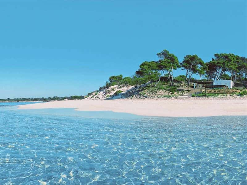 SES SALINES: PISOS D'OBRA NOVA EN UNA UBICACIÓ IDÍL·LICA 10