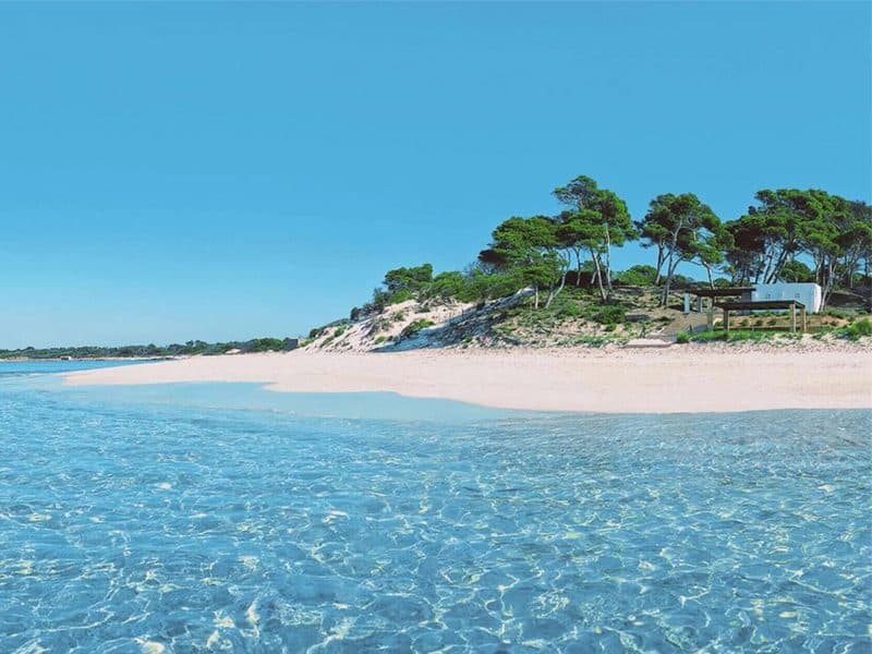 SES SALINES: NEW-BUILD FLATS IN AN IDYLLIC LOCATION 10
