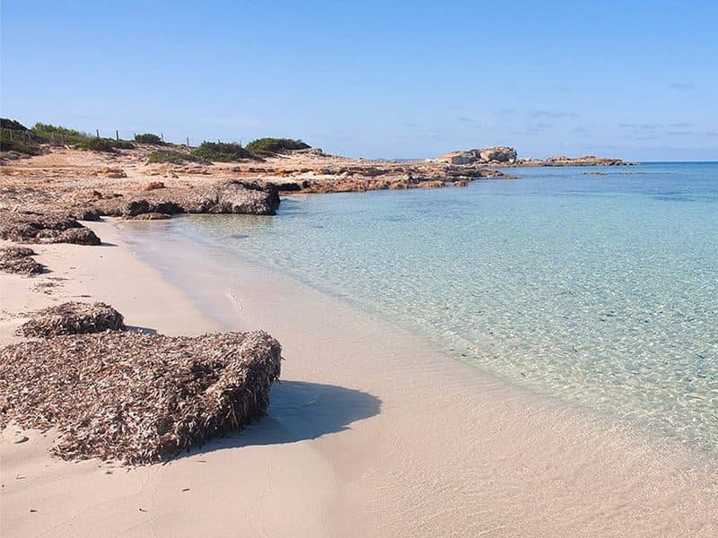 SES SALINES: NEW-BUILD FLATS IN AN IDYLLIC LOCATION 9
