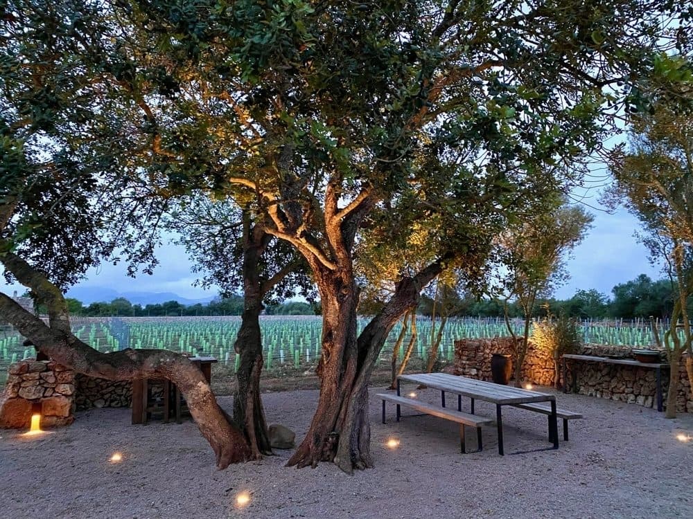 PORRERES: EXCLUSIVE FINCA WITH VINEYARD AND LARGE ESTATE 26