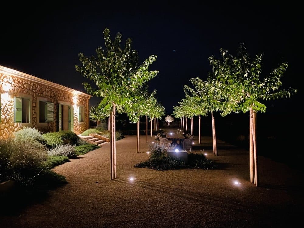 PORRERES: EXCLUSIVE FINCA WITH VINEYARD AND LARGE ESTATE 14