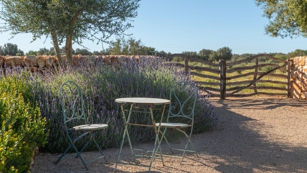 PORRERES: EXCLUSIVE FINCA WITH VINEYARD AND LARGE ESTATE 22