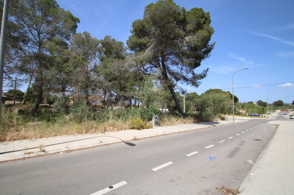 SES CADENES: URBAN BUILDING PLOT FOR A DETACHED HOUSE