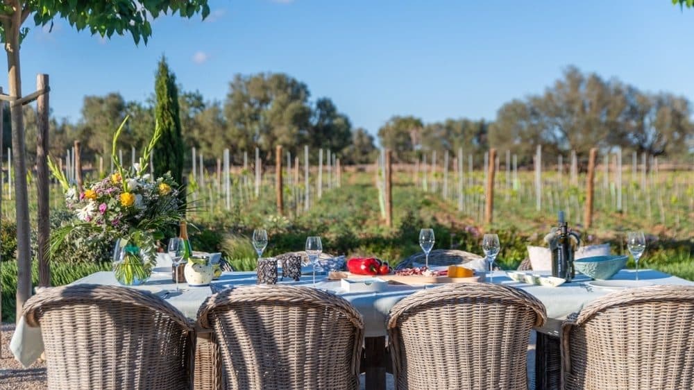 PORRERES: FINCA WITH VINEYARDS & POOL 14