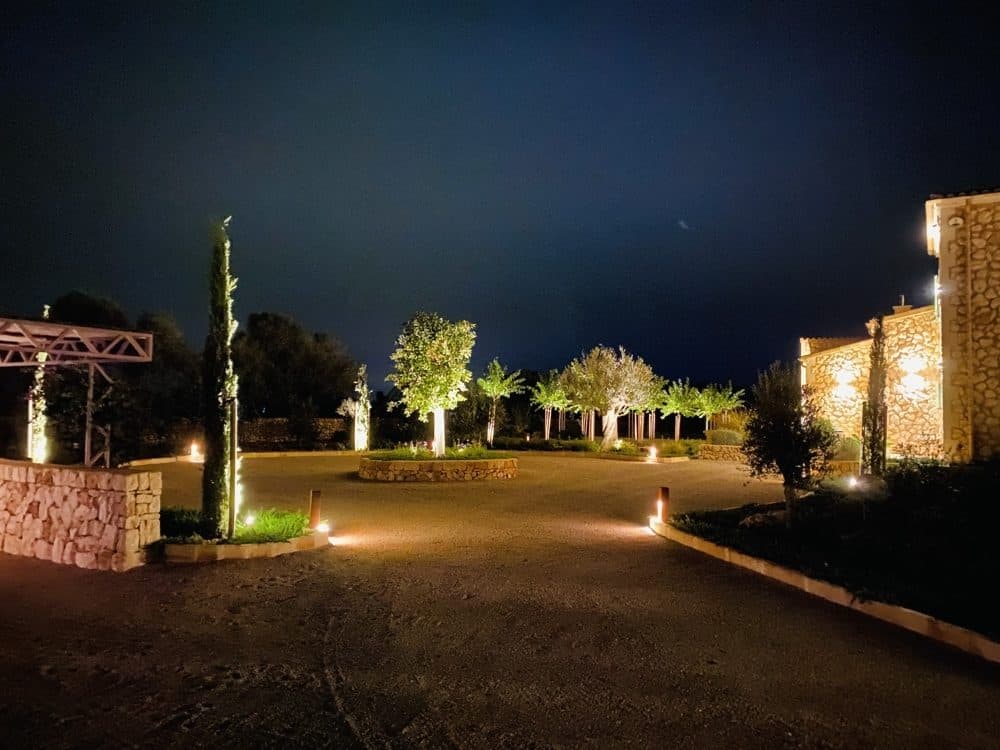 PORRERES: FINCA WITH VINEYARDS & POOL 26
