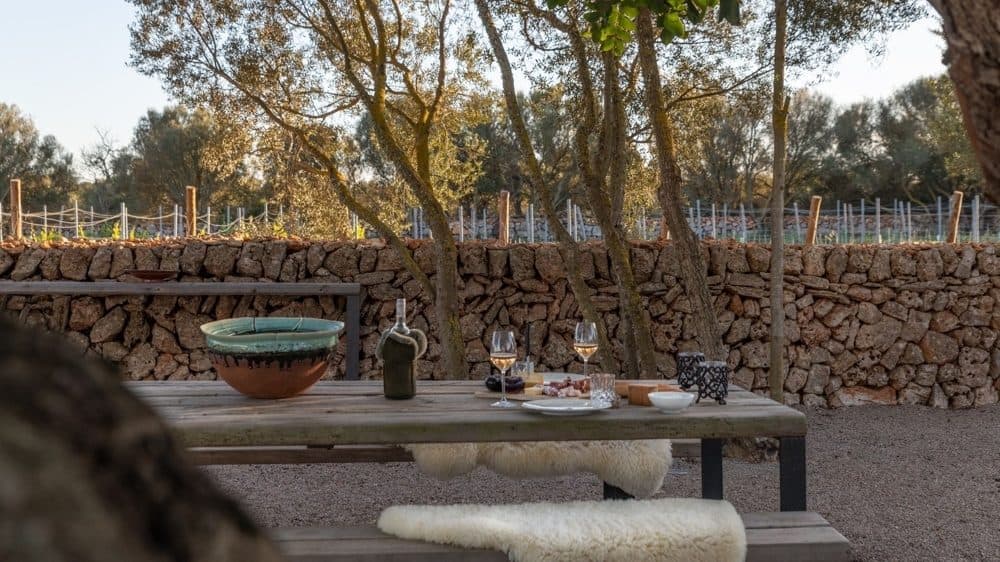 PORRERES: FINCA WITH VINEYARDS & POOL 15