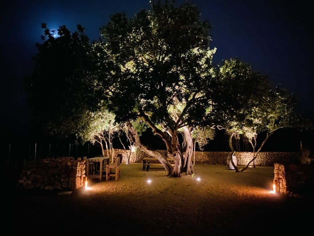 PORRERES: FINCA WITH VINEYARDS & POOL 28