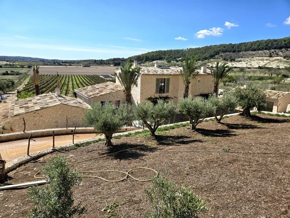 MONTUIRI: NEWLY BUILT ESTATE WITH VINEYARD, GUEST HOUSE & INFINITY POOL 21