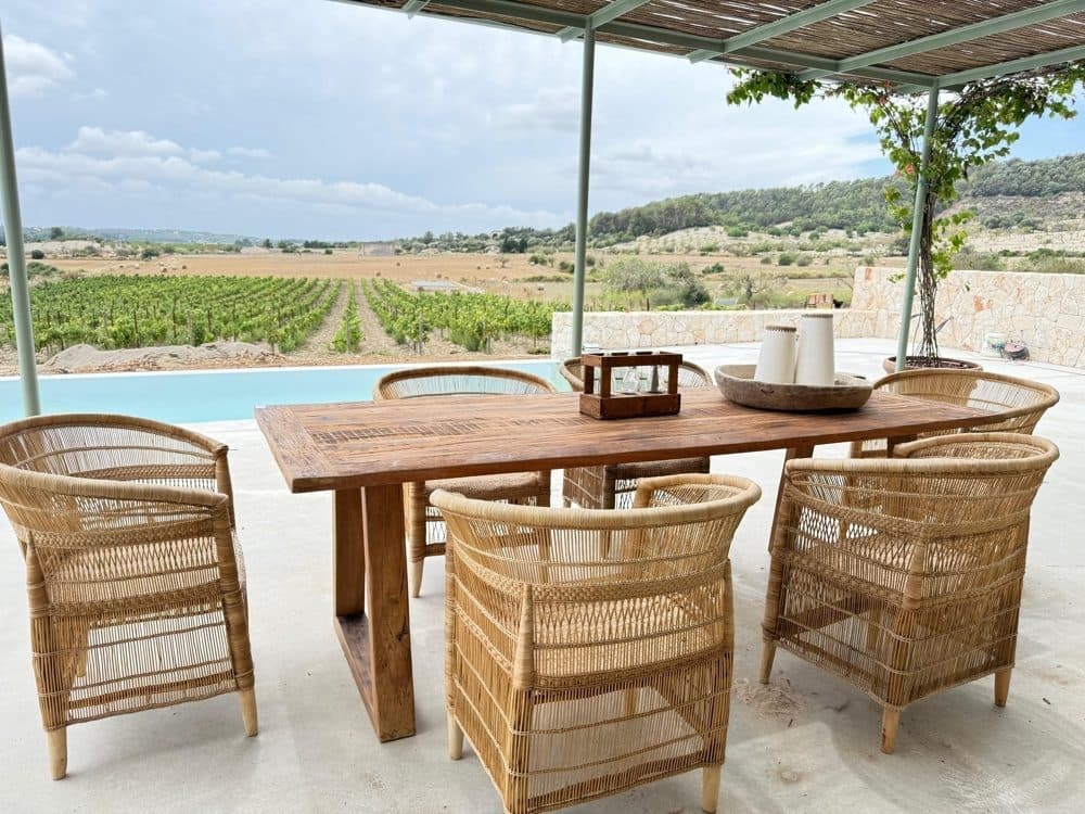 MONTUIRI: NEWLY BUILT ESTATE WITH VINEYARD, GUEST HOUSE & INFINITY POOL 26