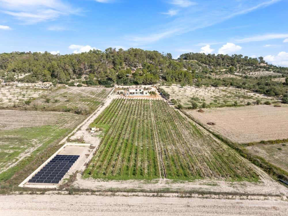 MONTUIRI: NEWLY BUILT ESTATE WITH VINEYARD, GUEST HOUSE & INFINITY POOL 23
