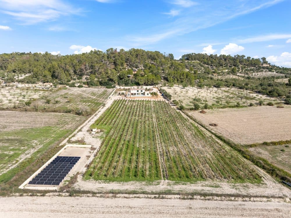 MONTUIRI: NEWLY BUILT ESTATE WITH VINEYARD, GUEST HOUSE & INFINITY POOL 23