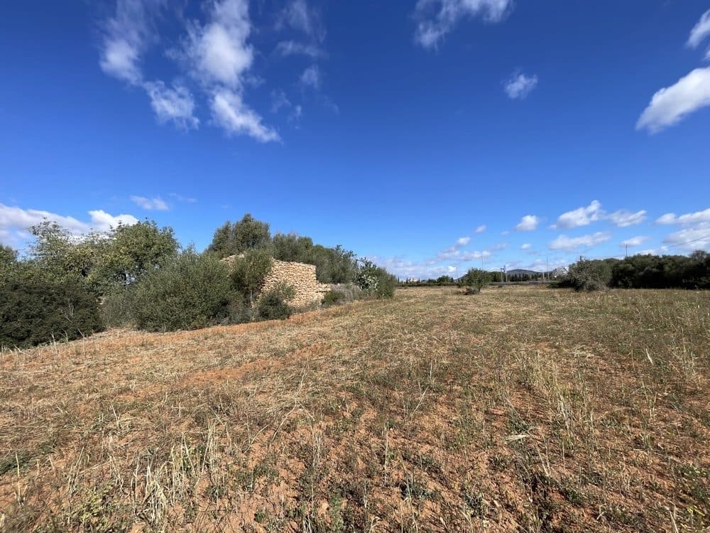 LLUCMAJOR: BUILDING PLOT WITH PROJECT FOR FINCA 4