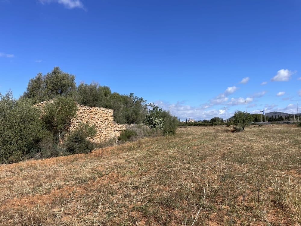 LLUCMAJOR: BUILDING PLOT WITH PROJECT FOR FINCA 3