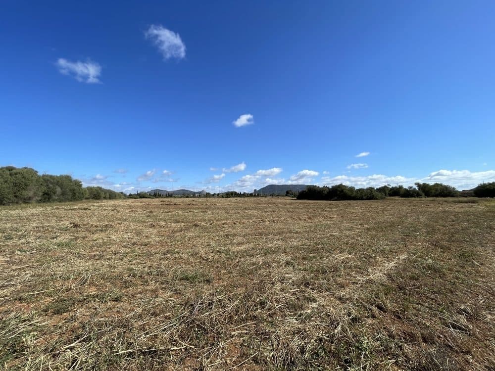 LLUCMAJOR: BUILDING PLOT WITH PROJECT FOR FINCA 2