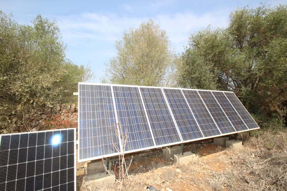 LLUCMAJOR: SOLAR EDIFICABLE RÚSTIC A PROP DEL POBLE 5