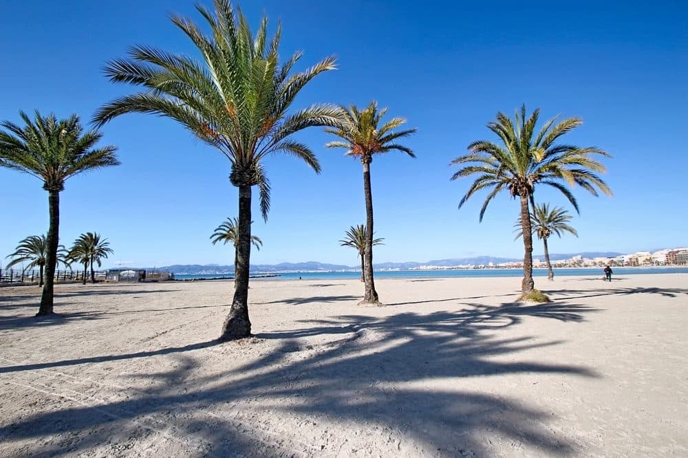 ARENAL: MODERNE WOHNUNG MIT MEERBLICK NUR 50 METER VOM STRAND ENTFERNT 22