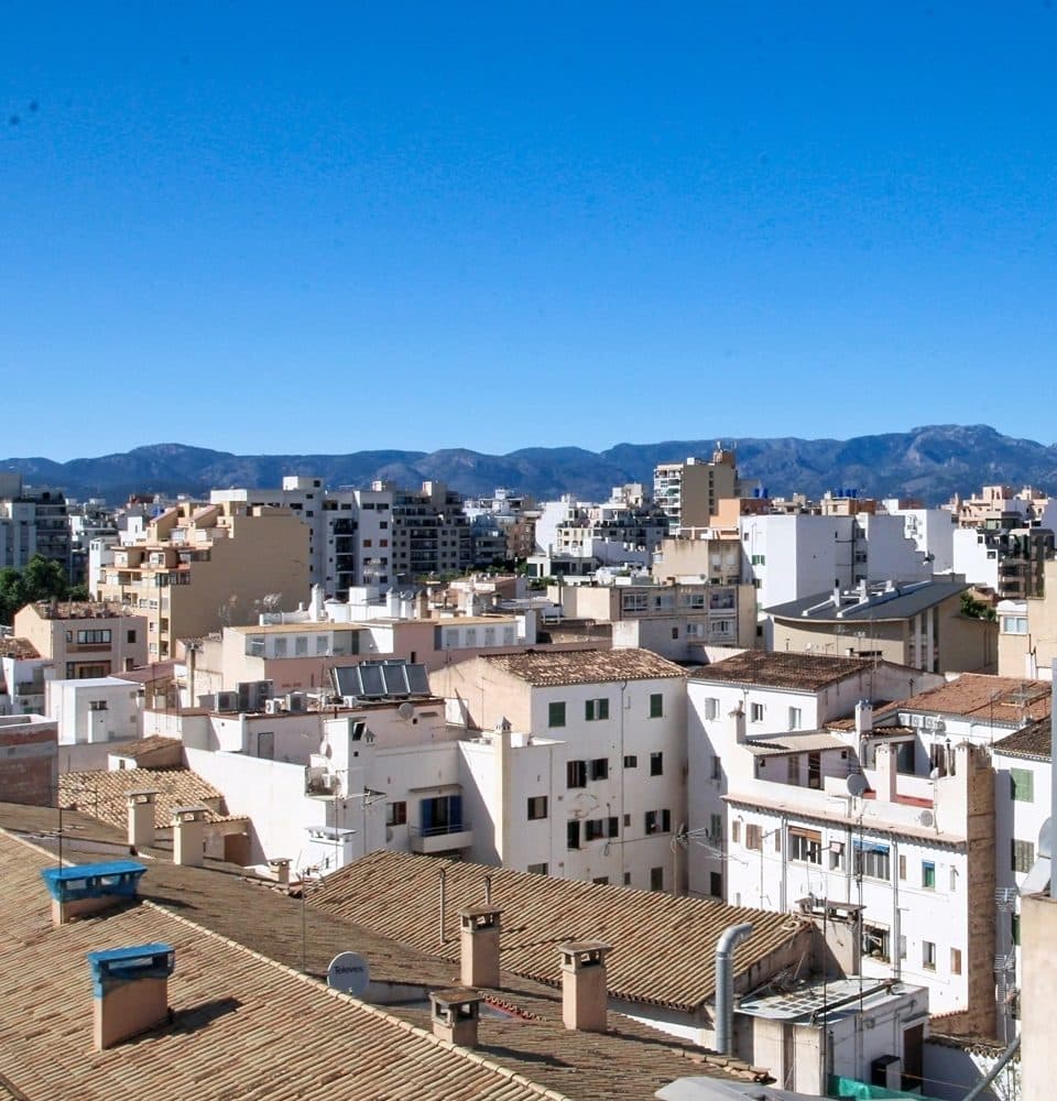 BRIGHT APARTMENT WITH LARGE SUNNY TERRACE AND PANORAMIC VIEWS 6