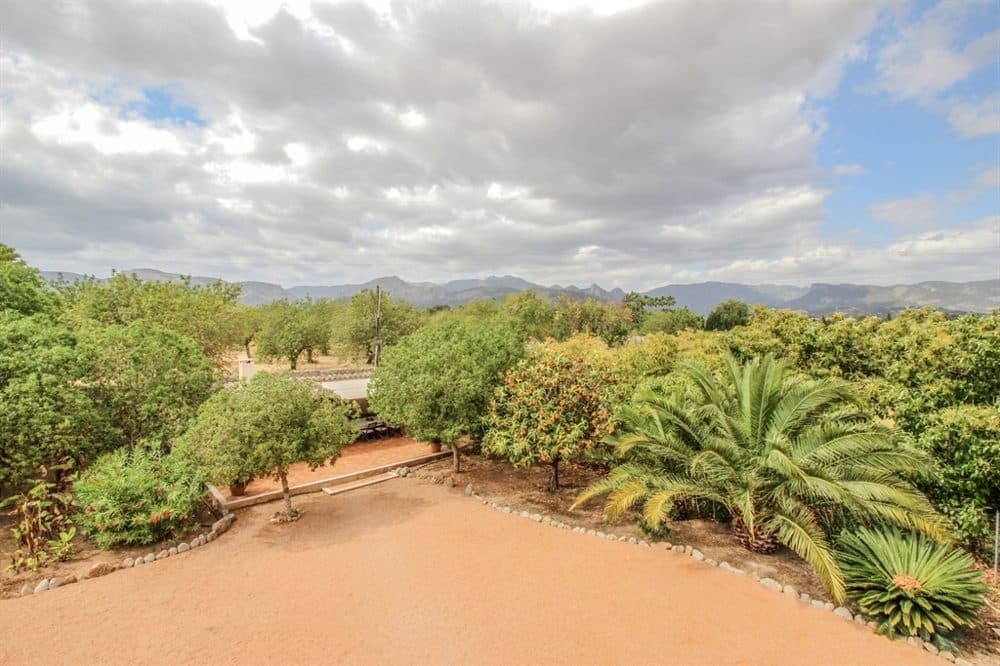 MALLORCA: IDYLLIC FINCA WITH AVOCADO TREES AND ETV LICENCE 19