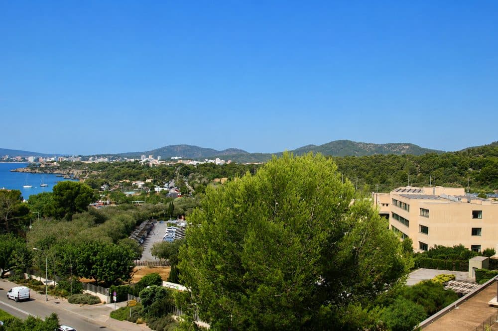 PORTALS NOUS: APARTMENT WITH TERRACE AND PARTIAL SEA VIEWS 12