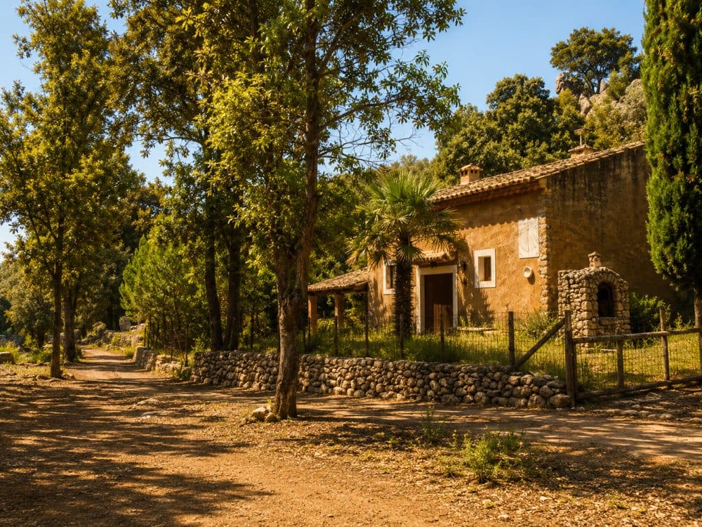LLUC: FINCA HISTÒRICA ÚNICA AMB 57 HECTÀREES DE TERRENY VERD 18