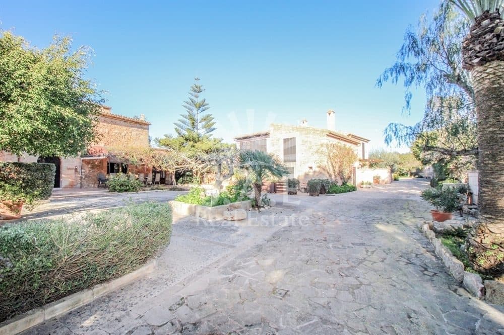 SES SALINES: AGROTOURISM NEAR THE SEA 22