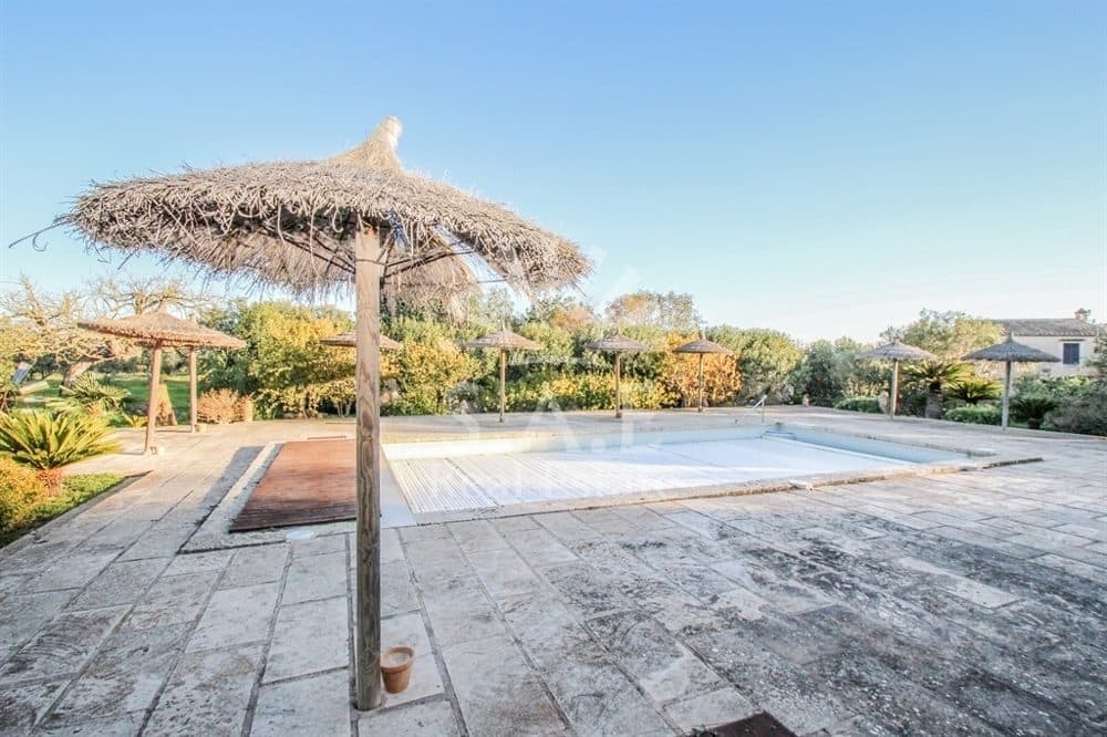 SES SALINES: AGROTOURISM NEAR THE SEA 21