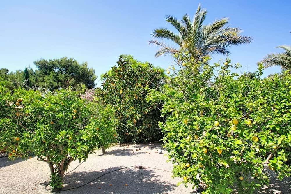 SANTA PONSA: DETACHED HOUSE WITH POTENTIAL IN A PRIME LOCATION 27