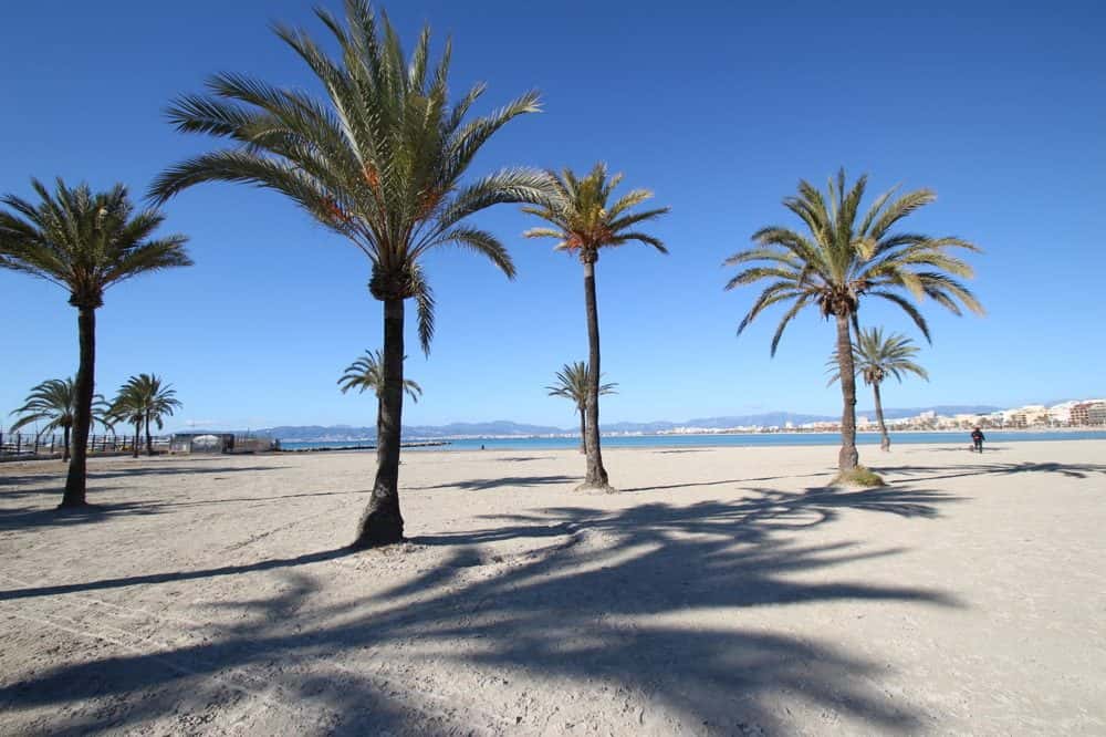 PLAYA DE PALMA: SPACIOUS FLAT NEAR THE BEACH