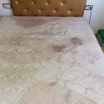Reinigung von Sofas, Matratzen, Sitzen, Stühlen
