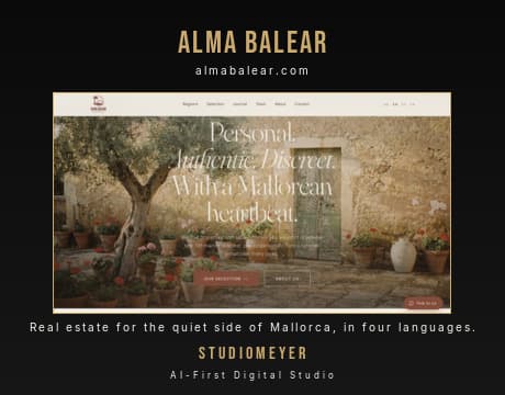Web design & AI from Palma: modern websites that get found 9